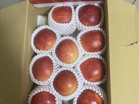 まるごとガブリっ！岩手江刺産【小玉：奥州ロマン】2㎏