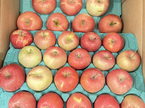 早生ふじ（やたか）10キロ ジュース用、ジャム用