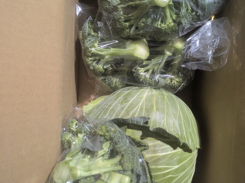 食べてみりん🥦🥬セット