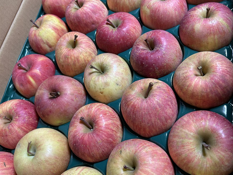 すぐ発送！農薬半減栽培葉取らず樹上完熟サンふじ5k16-23家庭用訳あり　蜜入りもあり❣️　りんご