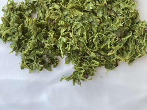 山椒の新芽 300グラム 冷凍 京都産：京都府産の野菜｜食べチョク