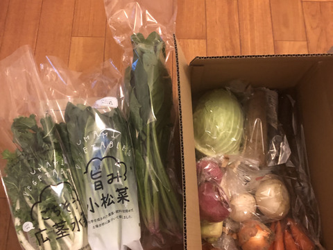 のらくら農場のちいさな畑セット【M】