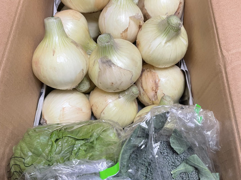 大好評，地層が違う淡路島、訳あり新玉ねぎスーパーアップ３キロ(風袋込み)