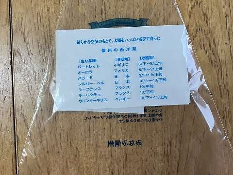 【ギフト】ラ・フランス3㎏規格8玉【追熟前】