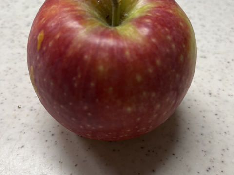 発送中🍎【人気上昇中 幻の夏りんご🍎】シナノリップ3キロ箱 6玉〜15玉サイズ 商品ID41076 長野県 信州 安曇野 リンゴ 幻 幻のリンゴ 予約 希少 旬