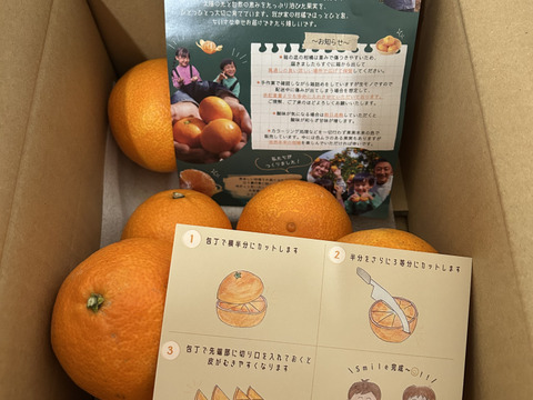 【まるでゼリー？！】まどんな 2kg【冬ギフト】