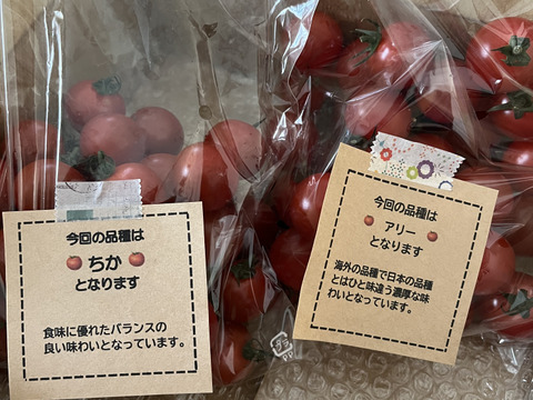 笑顔引き出す！みにとまとの食べ比べ 1kg