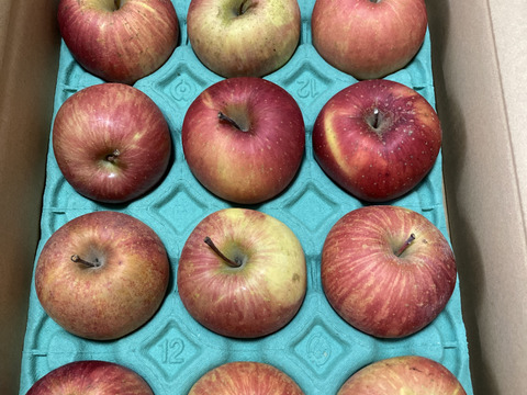 【家庭用小玉】サンふじ 約3kg 10-14玉 超定番のりんごの王様  1月発送 長野県産#NAF0B030