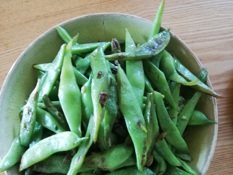 【北海道在来種】【貝豆】ささげ1kg + 季節の北海道野菜セット【平さやいんげん】【80サイズ】