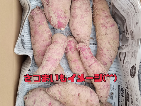 送料無料 通販 ファッション 熟成さつまいも 姫あやか10k：新潟県産のひめあやか｜食べチョク 野菜