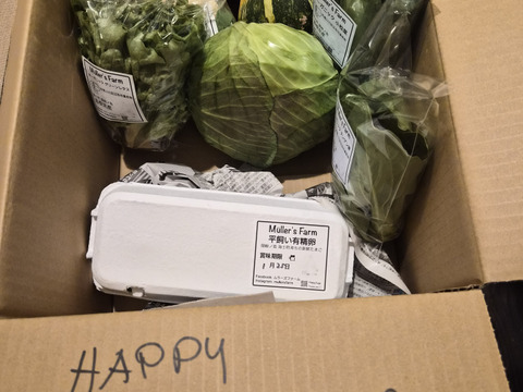【有機JAS認証取得】🌱安心島の旬野菜と平飼いたまご10個セット🥬🥚Organic Vegetables&10Eggs