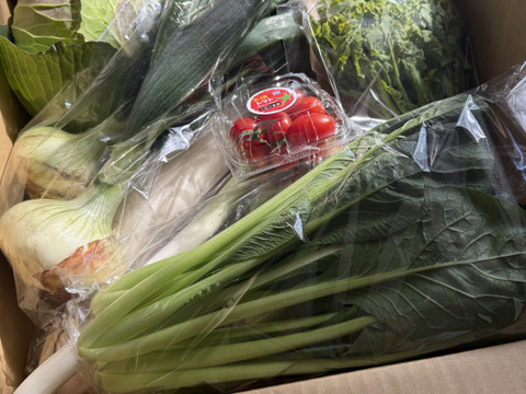 畑から採りたて発送！©静岡厳選野菜セット（12品)（本州の方限定）「熨斗対応可」