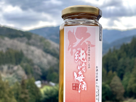 甘辛梅酒　100ml ２本セット　のみくらべ　ギフト　辛口梅酒　本格梅酒　梅の実入り