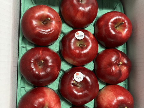 【予約販売】中も赤い！紅の夢 約3kg(7～12個)