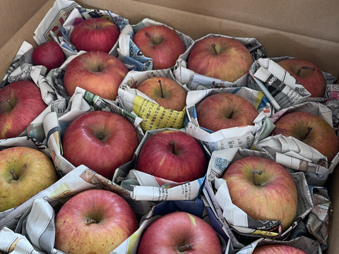 サンふじ　訳あり家庭用（約4.5㎏）10～25玉
甘さ･酸味･食感の三拍子が揃ったりんご　
形やキズなどで贈答用になれなかったりんごたち
バラ詰めでお届け　信州長野県産