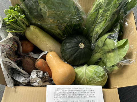 標高800mで育った高原野菜S(9-10品目)野菜セットS
