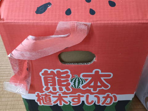 【6月上旬発送】熊本植木　大玉スイカ