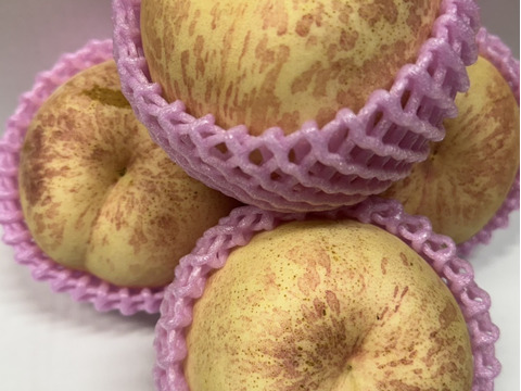 超レア硬い桃‼️CX（シーエックス）1.8キロ【訳あり】：山形県産のCX