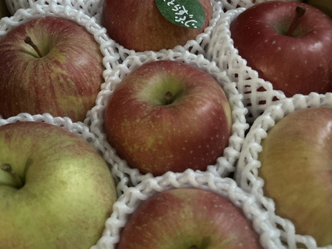 【冬ギフト】 🍎レビュー数1700件突破！！《家庭用》青森完熟葉とらずふじ８〜１２玉(約３kg)🍎ID119812