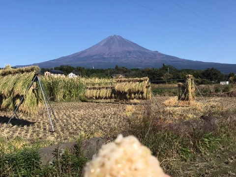 富士山麓。自然栽培(なにもいれない）の玄米10ｋｇ