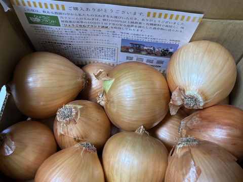 【お陰様でリピーター様多数！】淡路島玉ねぎ「中生種」５kg　特別栽培　ひょうご安心ブランド認証取得