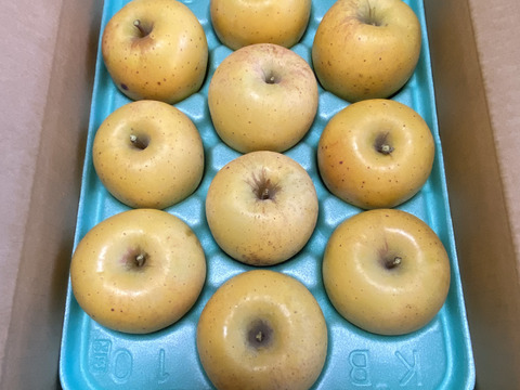 極上の甘さ【はるか】家庭用✨りんご農家が感動！希少品種♡