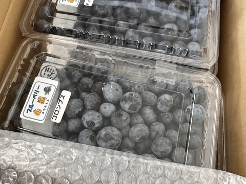 ブルーベリー生果280g x 4パック『パック毎に品種表示』