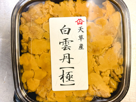 【至高の口どけ】旨味凝縮！72時間熟成「白雲丹【極】」 100g×1枚〜天草・牛深産〜【限定10パック】