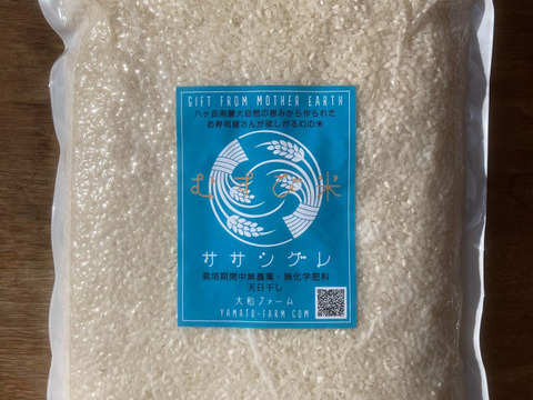 【備蓄用】幻の米ササシグレ（自然栽培）白米3㎏（天日干し）2022年産【真空パック】