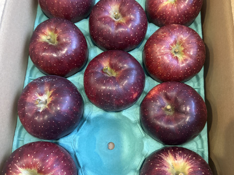 黒く輝く人気の秋映（あきばえ）家庭用3kg