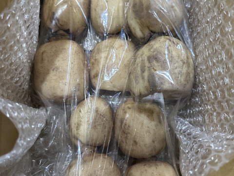 【お買い得】RENCOOONのれんこん！１kg×２箱