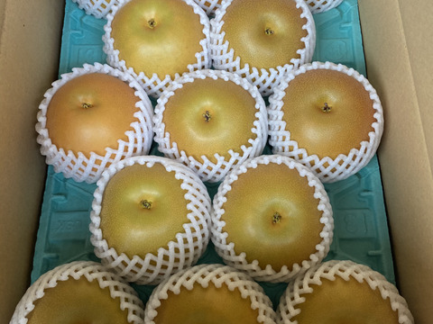 フルーティーな香り　あきづき　梨　5k箱 9〜10玉