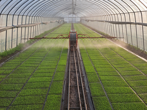 R7年産 北海道鷹栖町産 ななつぼし（精米5kg）
寒暖差が育む旨み【すずき農園】
