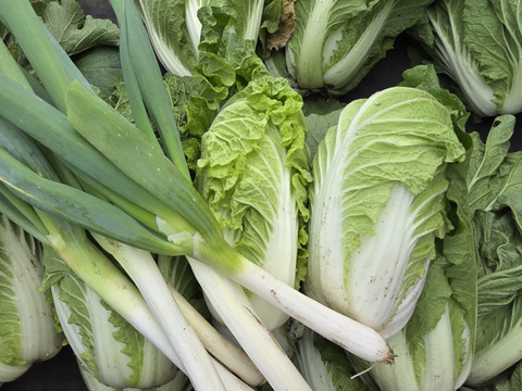 【荷合発送】どちらも堆肥、農薬一切無し　白菜×ネギ