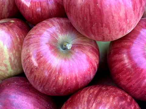 【クール便】～🍎青森りんごを直送🍎～ご自宅用リンゴ『サンつがる』２Kg 　６個から９個入り