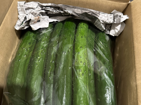 朝採り！信州産きゅうりA品2kg（箱重量込・正味1.8㎏）