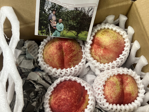 極甘！とれたてネク桃・ハネージュA品（約1㎏）