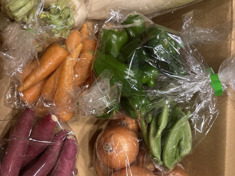 農家直送！規格外・わけあり品セット(A)2,800円分