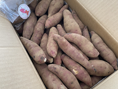 欲しかった❣️チビッコさつまいも🍠(紅はるか3kg)