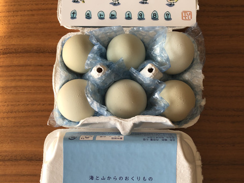 1月20日当日出荷限定！【縁起物】2025年大寒卵6個入り