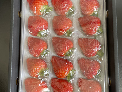 岡山市産 鮮度抜群！朝摘みイチゴ「ゆめのか」 贈答用 化粧箱入り 12～15粒 450ｇ×1パック