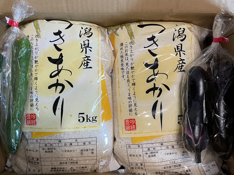 お米 米 新潟県産 新潟産 つきあかり 10kg 白米 令和6年産 令和