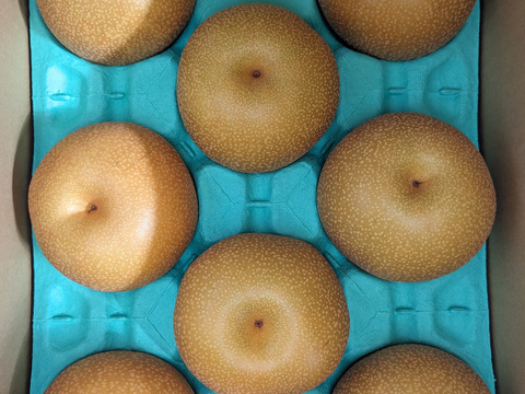 呉羽梨豊水家庭用3ｋｇ