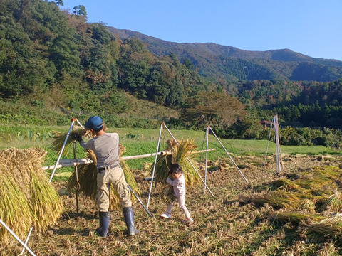 ハッピーヒル　５ｋｇ　自然栽培　天日干し　農薬不使用