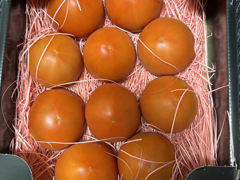 ～春夏秋冬～秋のトマトも楽しみましょう！ぜいたくトマト《秋の陣》