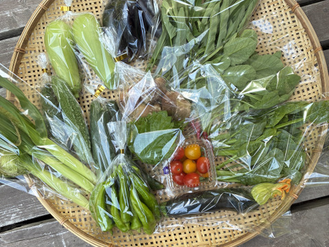 【一日限定1組！】キノコと夏野菜、詰め得ＢＯＸ　８袋のところ10袋以上！