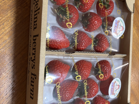 プレミアムいちご 『あまりん』6粒、8粒、9粒、11粒、15粒 のいずれか 250g×2パック入り