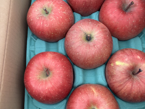 感謝お礼セール‼️とことん味にこだわりました💪😊🍎青森県産完熟葉取らずふじ家庭用キズあり約3kg‼️