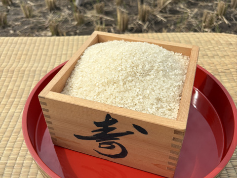 令和7年松本市産『はぜ掛け米』新米コシヒカリ(5kg 送料別)