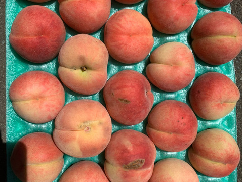 あかつき　桃　家庭用訳あり約5キロ22-28玉入　食べきりサイズがちょうどいい！